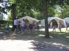 Bilder 20.07.2013
