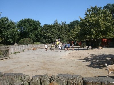 Bilder 23.07.2013