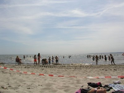 Bilder 24.07.2013