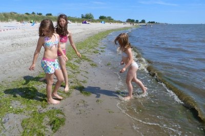 Bilder 25.07.2013