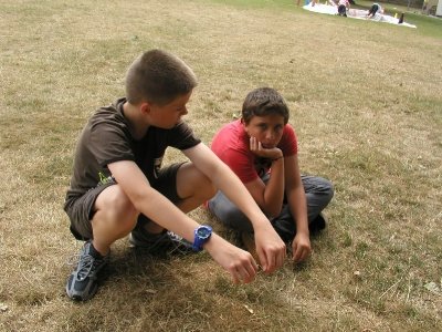Bilder 26.07.2013