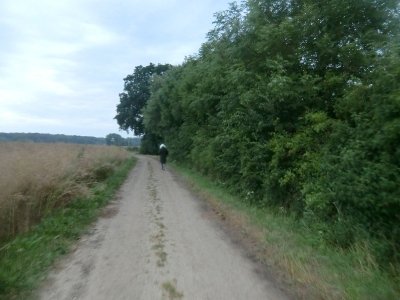 Bilder 28.07.2013