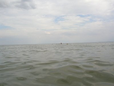 Bilder 30.07.2013