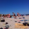 Bilder 30.07.2013