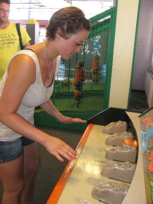 Bilder 02.08.2013