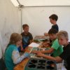 Bilder 02.08.2013