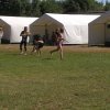 Bilder 02.08.2013