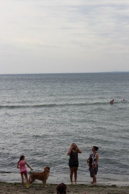 Bilder 03.08.2013