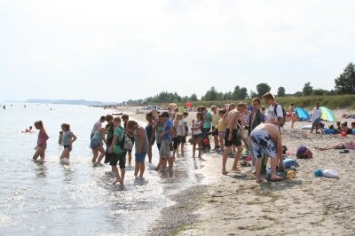Bilder 03.08.2013