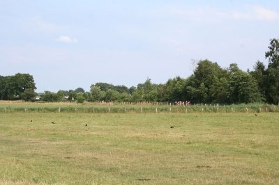 Bilder 03.08.2013