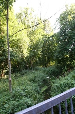 Bilder 03.08.2013