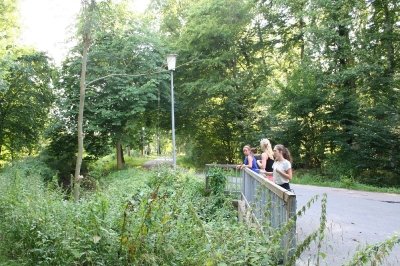 Bilder 03.08.2013