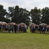 Bilder 04.08.2013