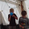 Bilder 24.08.2014