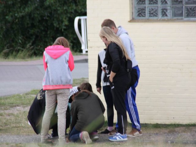 Bilder 25.08.2014