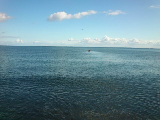 Bilder 26.08.2014