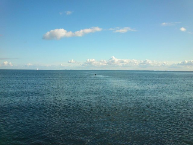 Bilder 26.08.2014