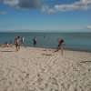 Bilder 26.08.2014