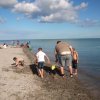 Bilder 26.08.2014