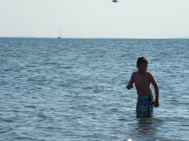 Bilder 28.08.2014