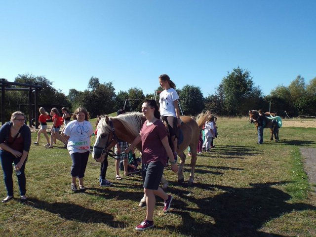Bilder 02.09.2014