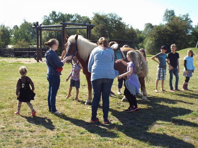 Bilder 02.09.2014