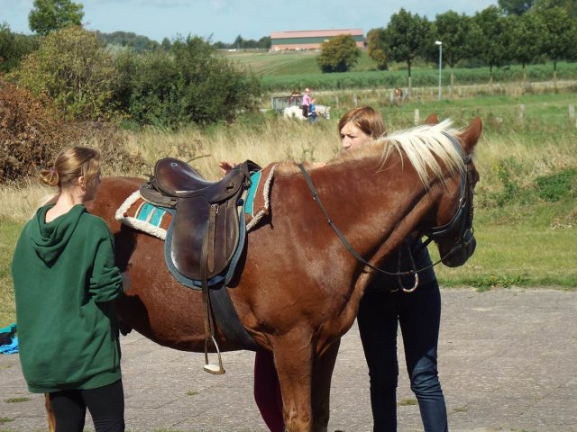 Bilder 02.09.2014