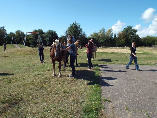 Bilder 02.09.2014