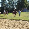 Bilder 02.09.2014