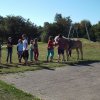 Bilder 02.09.2014