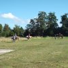Bilder 02.09.2014