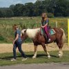 Bilder 02.09.2014