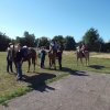 Bilder 02.09.2014