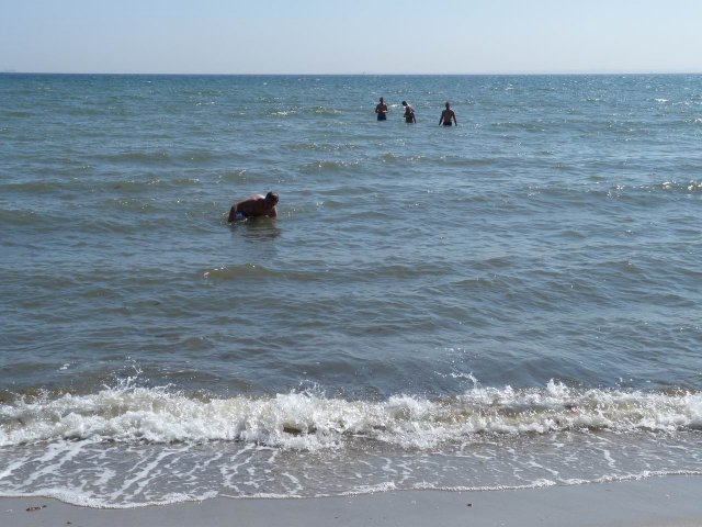 Steilküste 2014