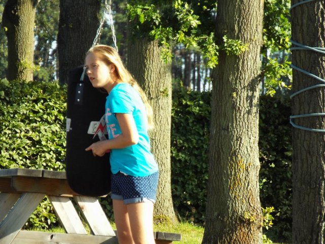 Bilder 13.08.2015