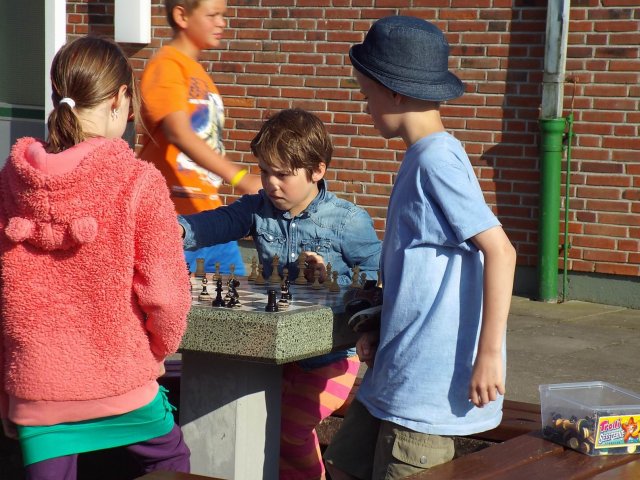 Bilder 13.08.2015