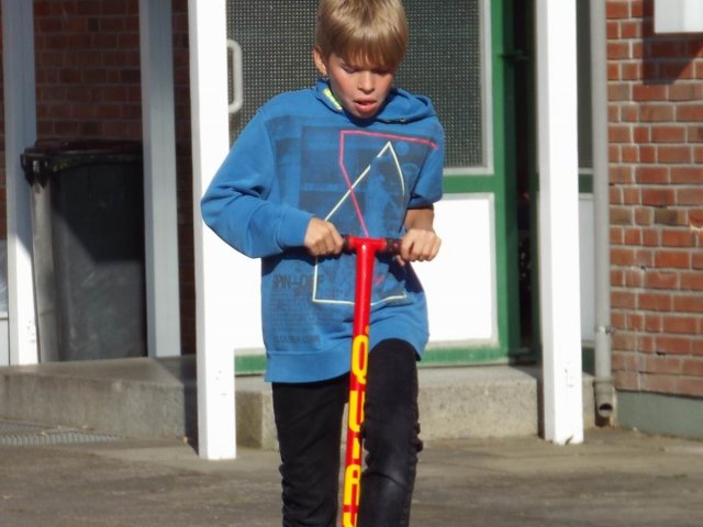 Bilder 13.08.2015