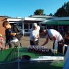 Bilder 13.08.2015