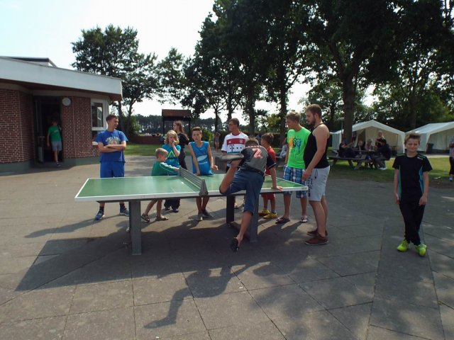 Bilder 14.08.2015