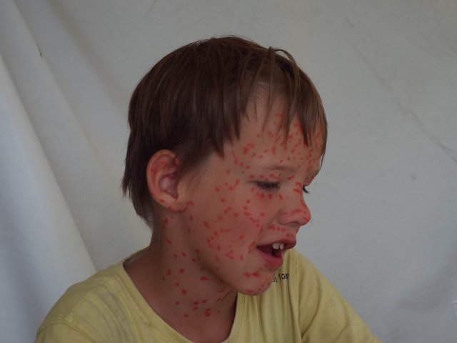15.08.2015