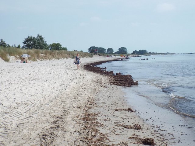 16.08.2015