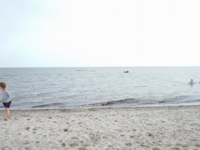16.08.2015