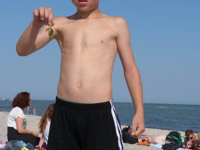 20.08.2015