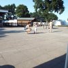 21.08.2015