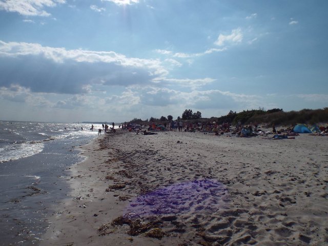 23.08.2015