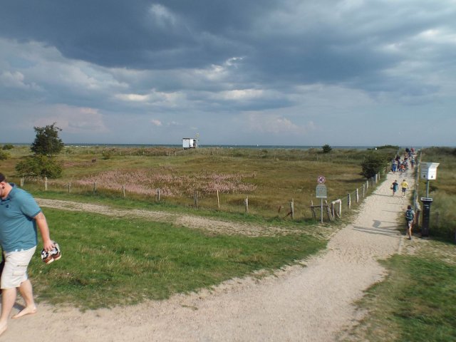 23.08.2015