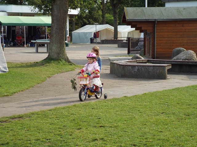 25.08.2015