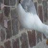 Bilder 17.07.2016