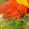 Bilder 20.07.2016