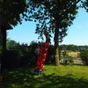 Bilder 21.07.2016